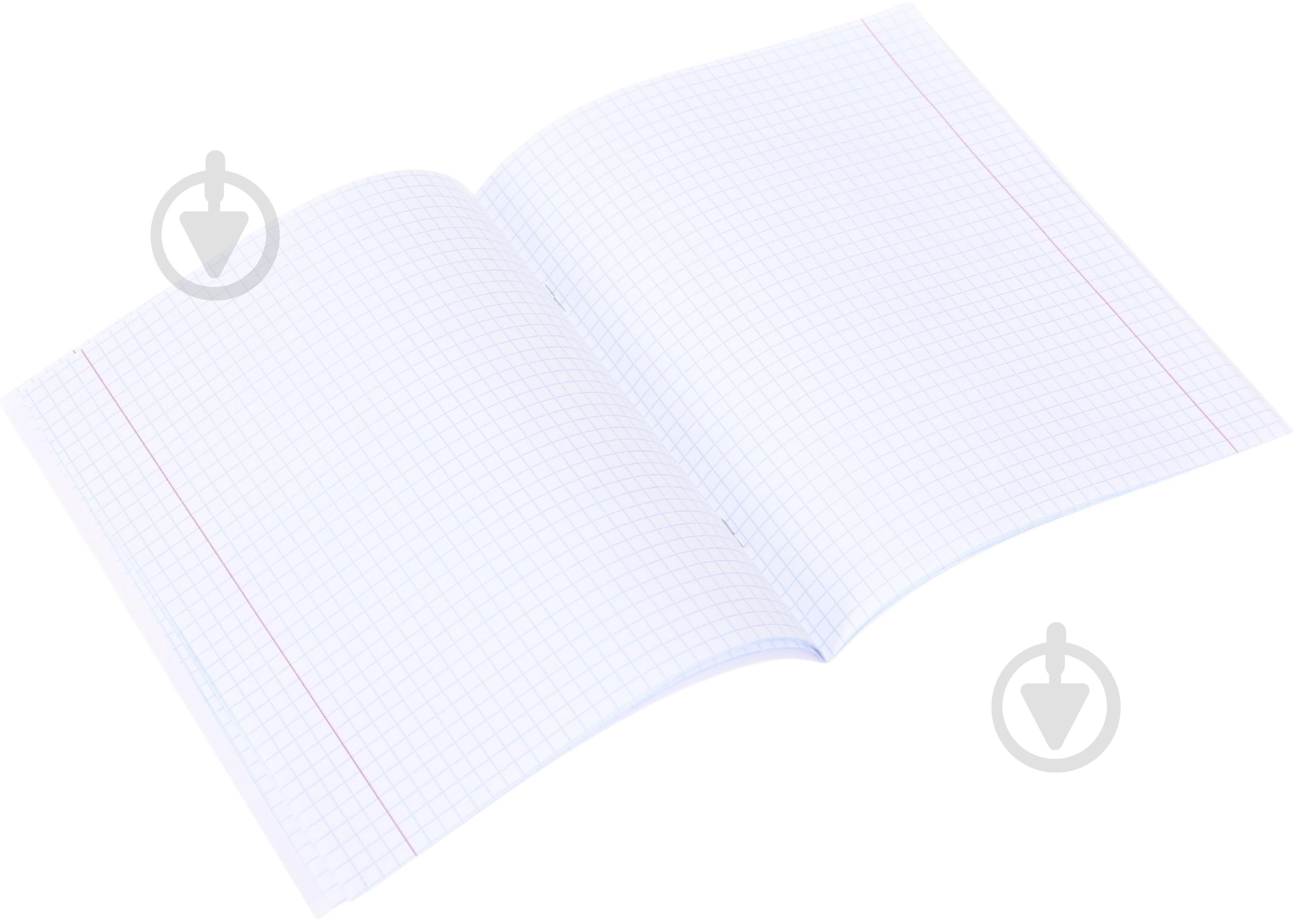 Зошит шкільний Capybara2_25 Nota Bene - фото 4 Зошит шкільний Capybara2_25 Nota Bene - фото 4