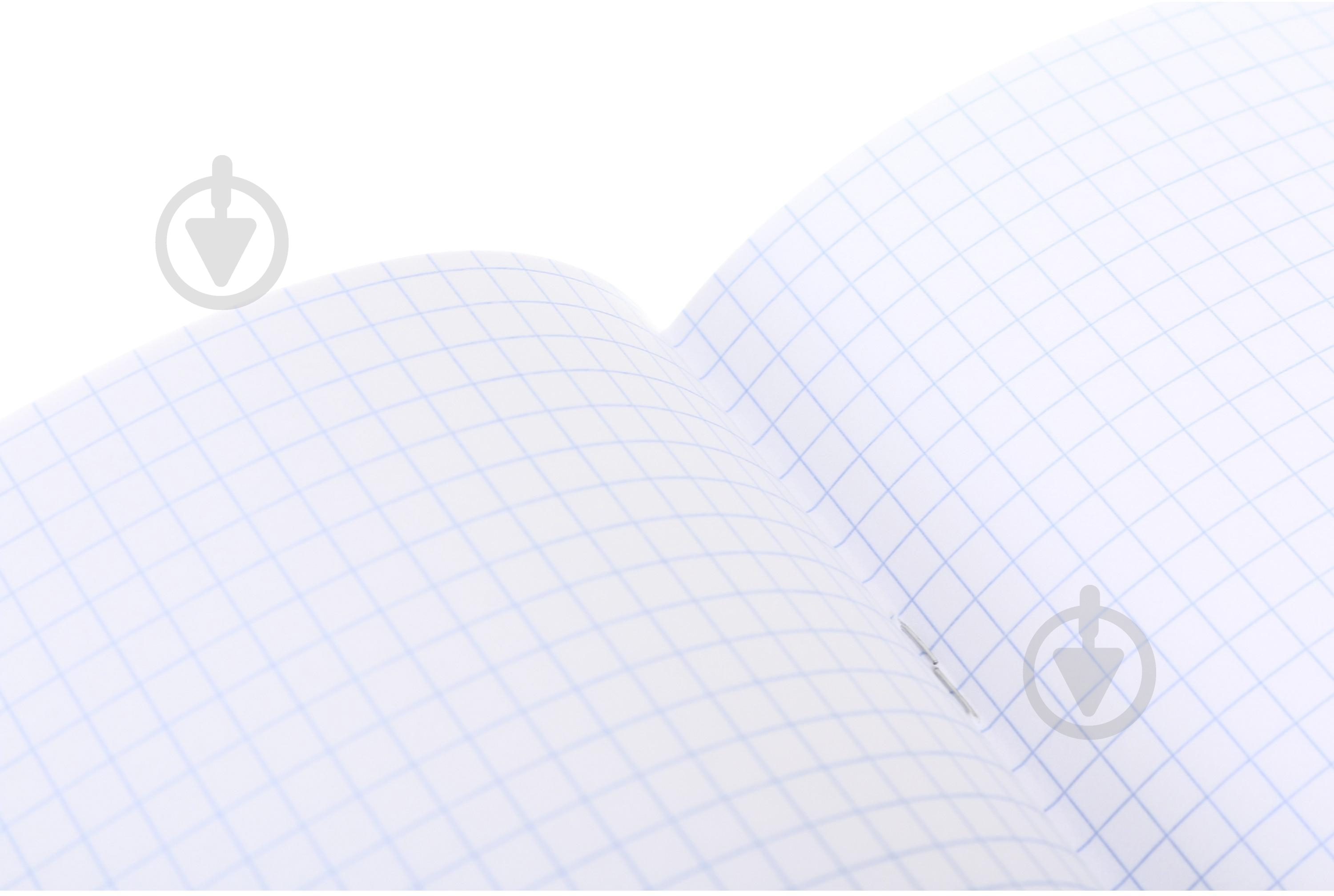 Зошит шкільний Capybara2_25 Nota Bene - фото 5 Зошит шкільний Capybara2_25 Nota Bene - фото 5