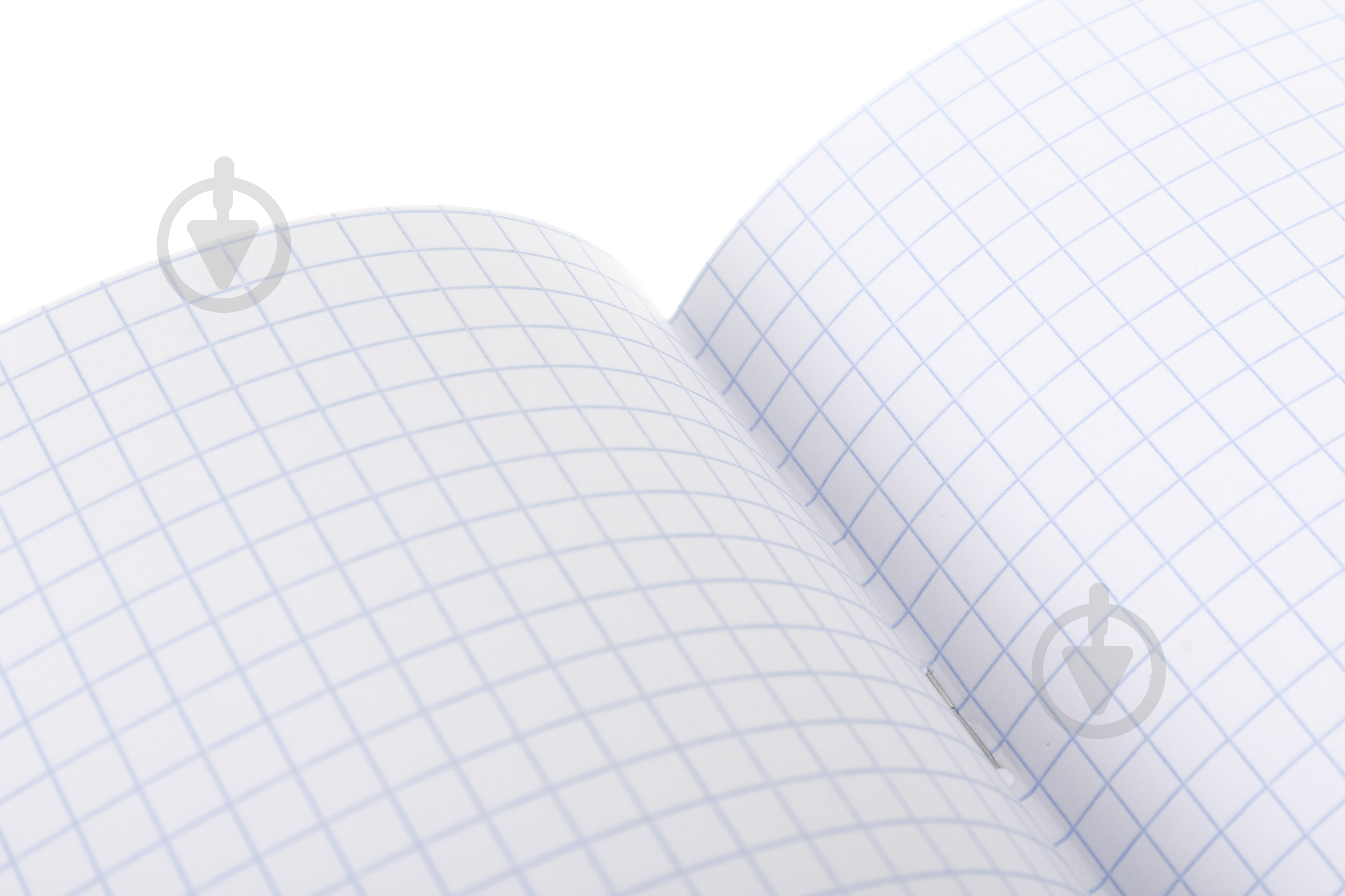 Тетрадь школьная Cat girl_25 24 листа в клеточку Nota Bene - фото 5