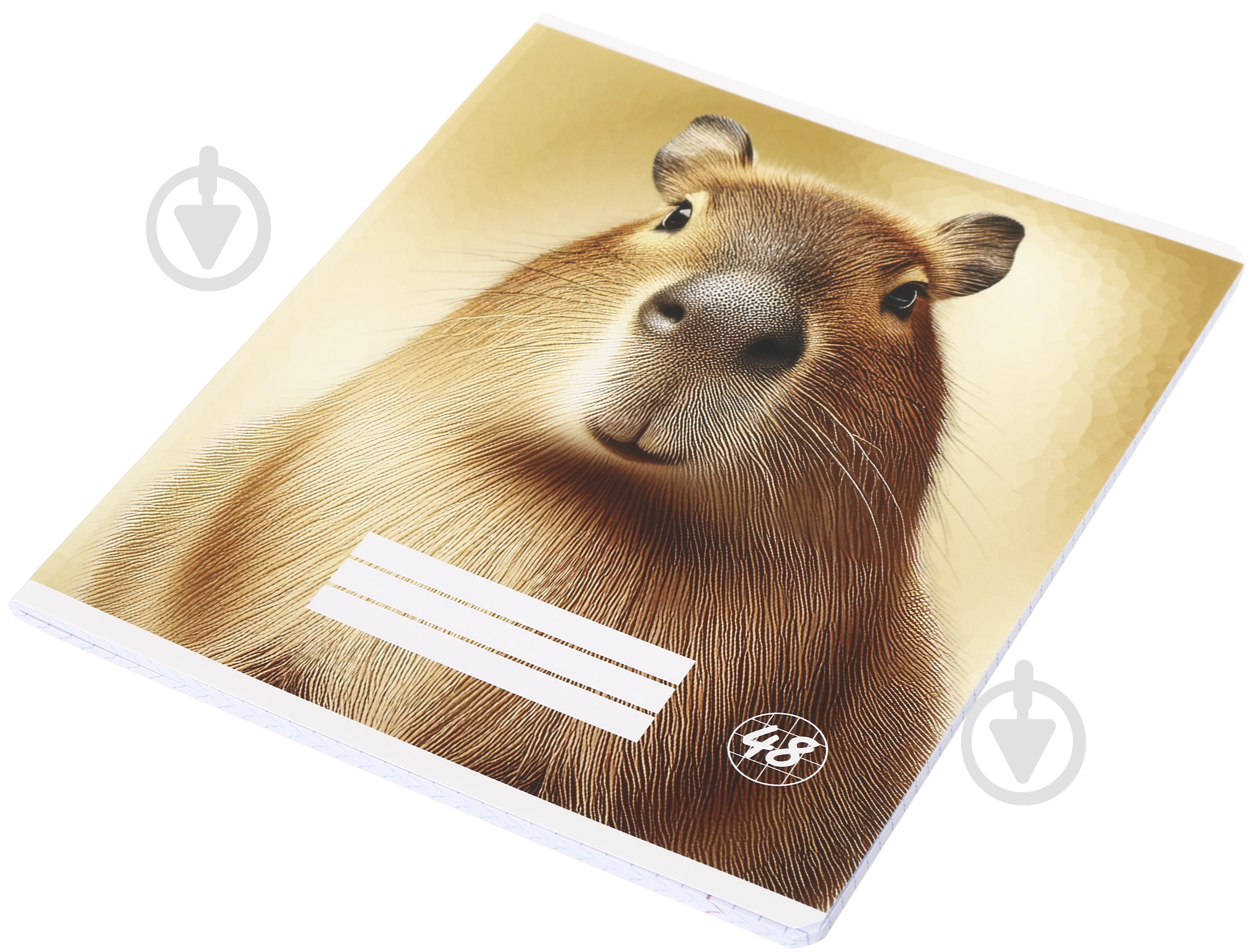 KAPIBARA ᐉ Зошит шкільний Capybara_25 48 аркушів у клітинку Nota Bene