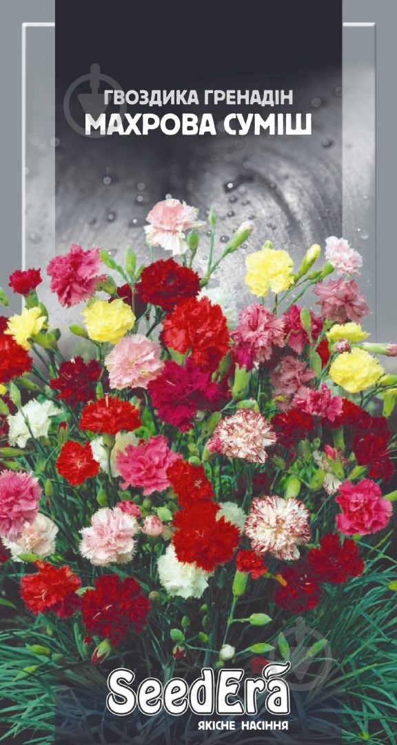 Семена Seedera гвоздика Гренадин 0,3 г - фото 1 Семена Seedera гвоздика Гренадин 0,3 г - фото 1