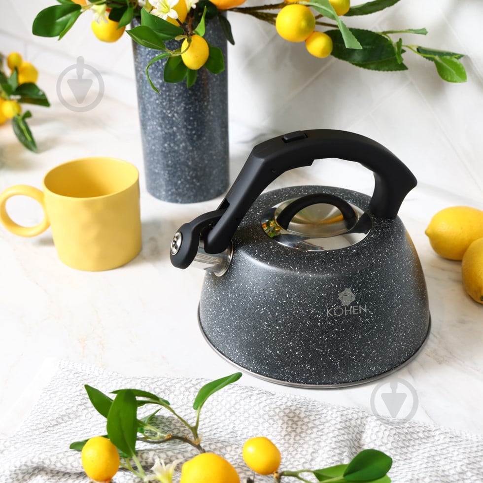 Чайник Kohen Rocky 3 л KN93002 - фото 3