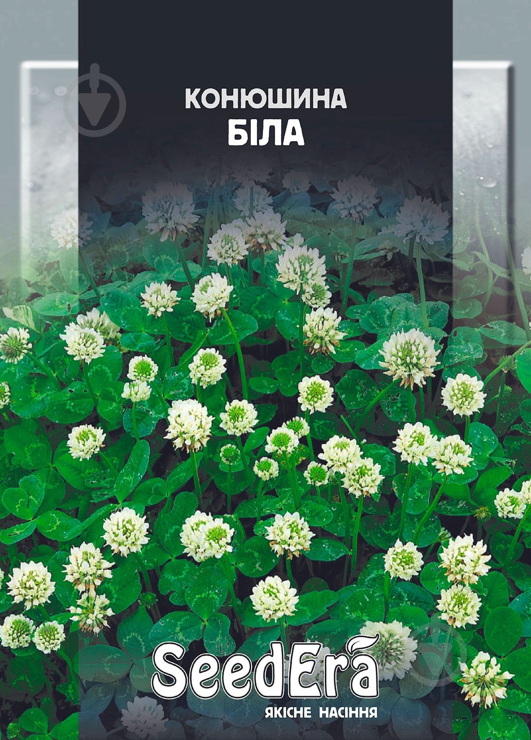 Семена Seedera клевер белый 20 г - фото 1