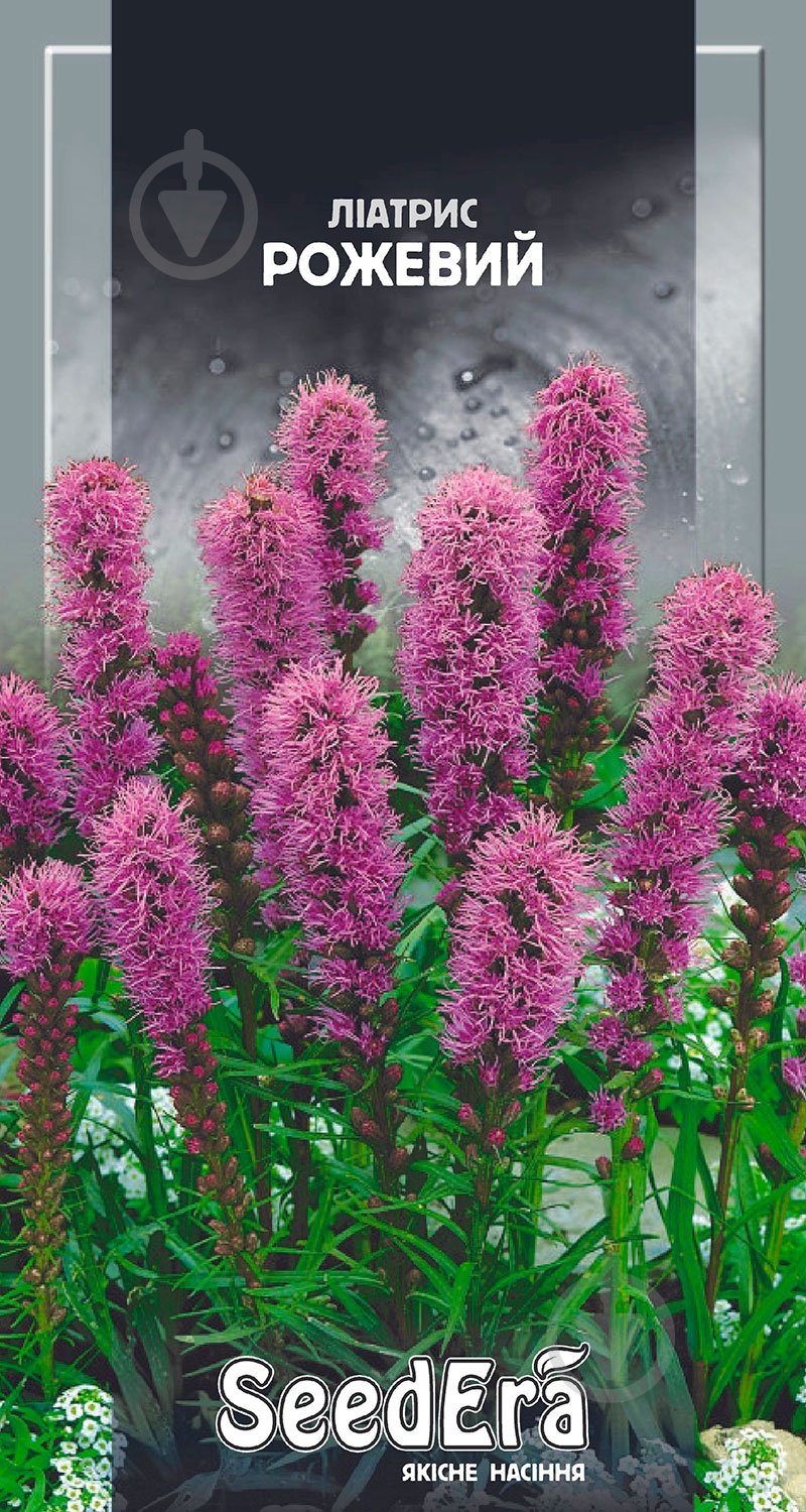 Семена Seedera лиатрис розовый 0,2 г - фото 1