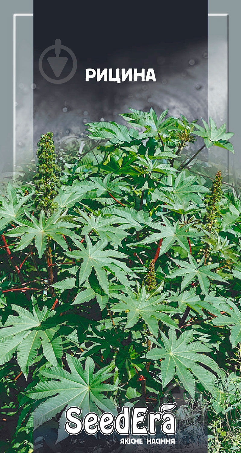 Семена Seedera клещевина 2,5 г - фото 1