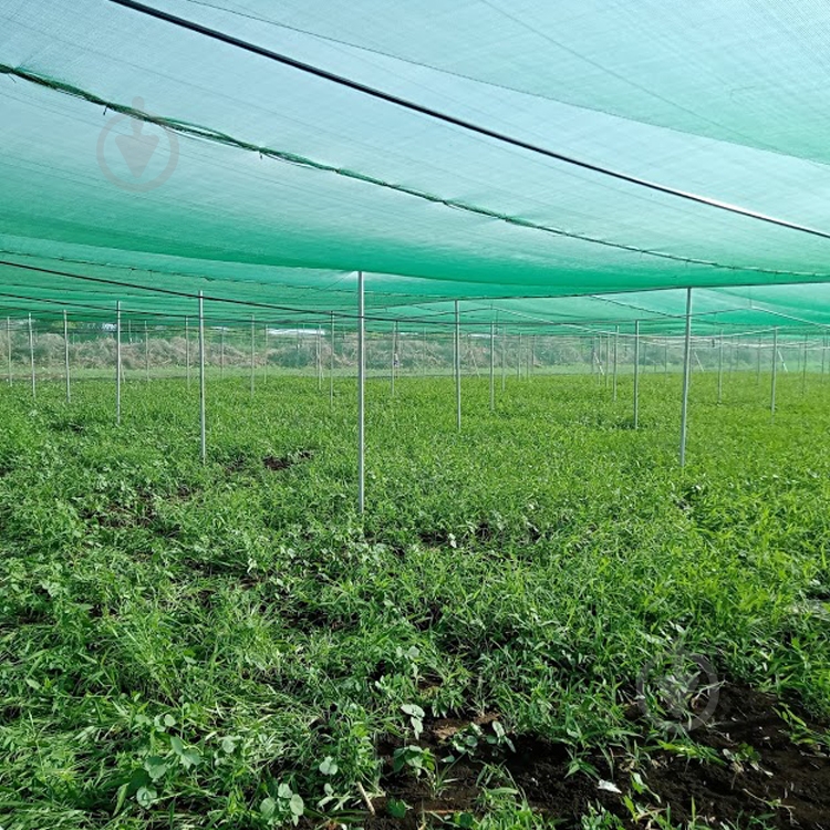 Сетка затеняющая Agreen 45% 8,0х50 м темно-зеленая - фото 8