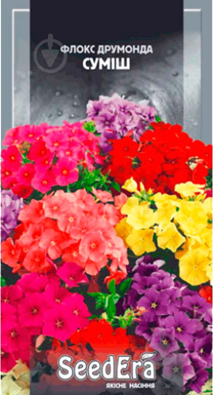 Семена Seedera флокс Друмонда смесь 0,2 г - фото 1 Семена Seedera флокс Друмонда смесь 0,2 г - фото 1
