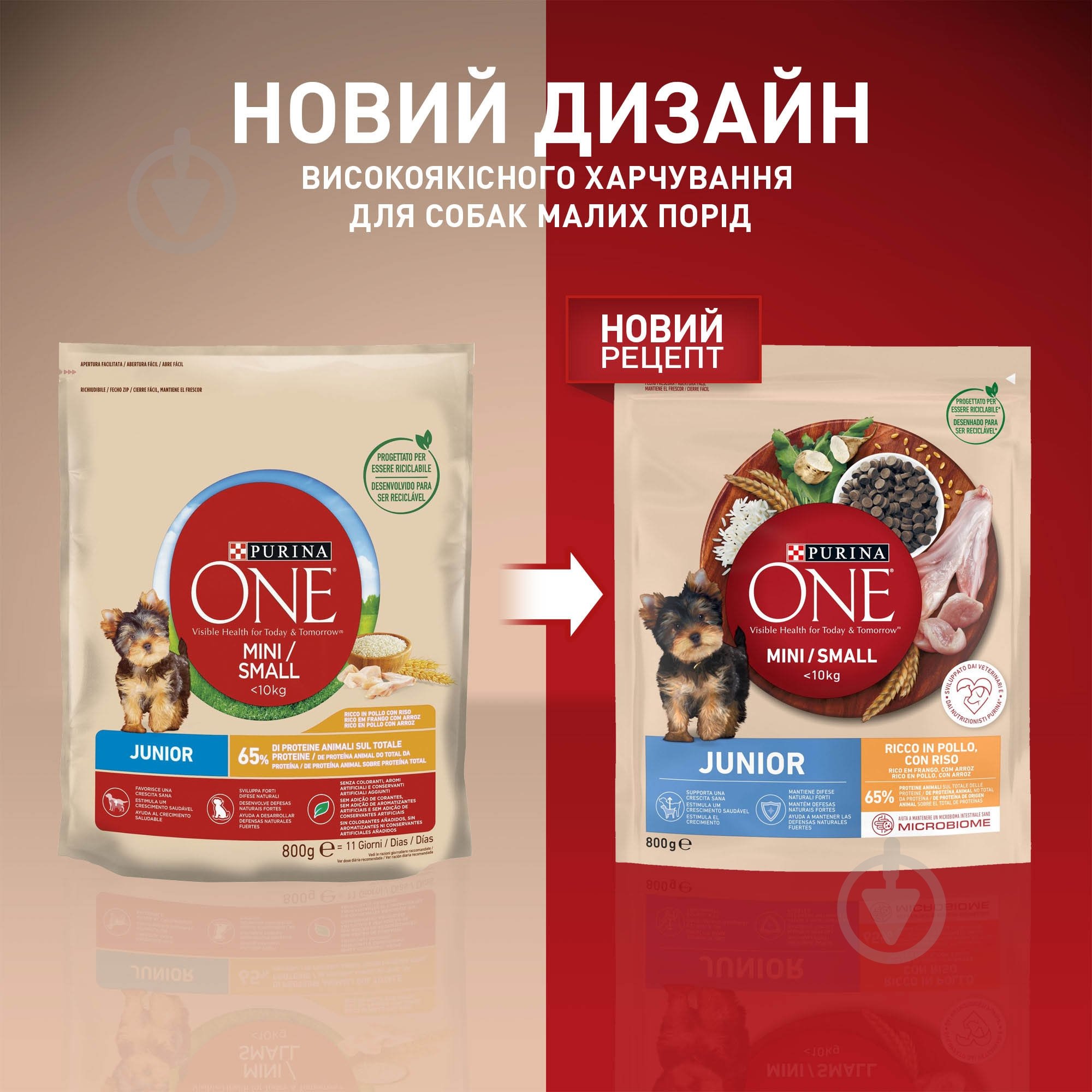 Корм сухой ONE by Purina Mini/Small Junior для щенков с курицей 800 г - фото 6