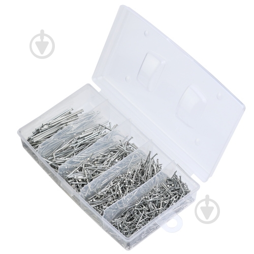Набор гвоздей №12 белый цинк - фото 1 Набор гвоздей №12 белый цинк - фото 1