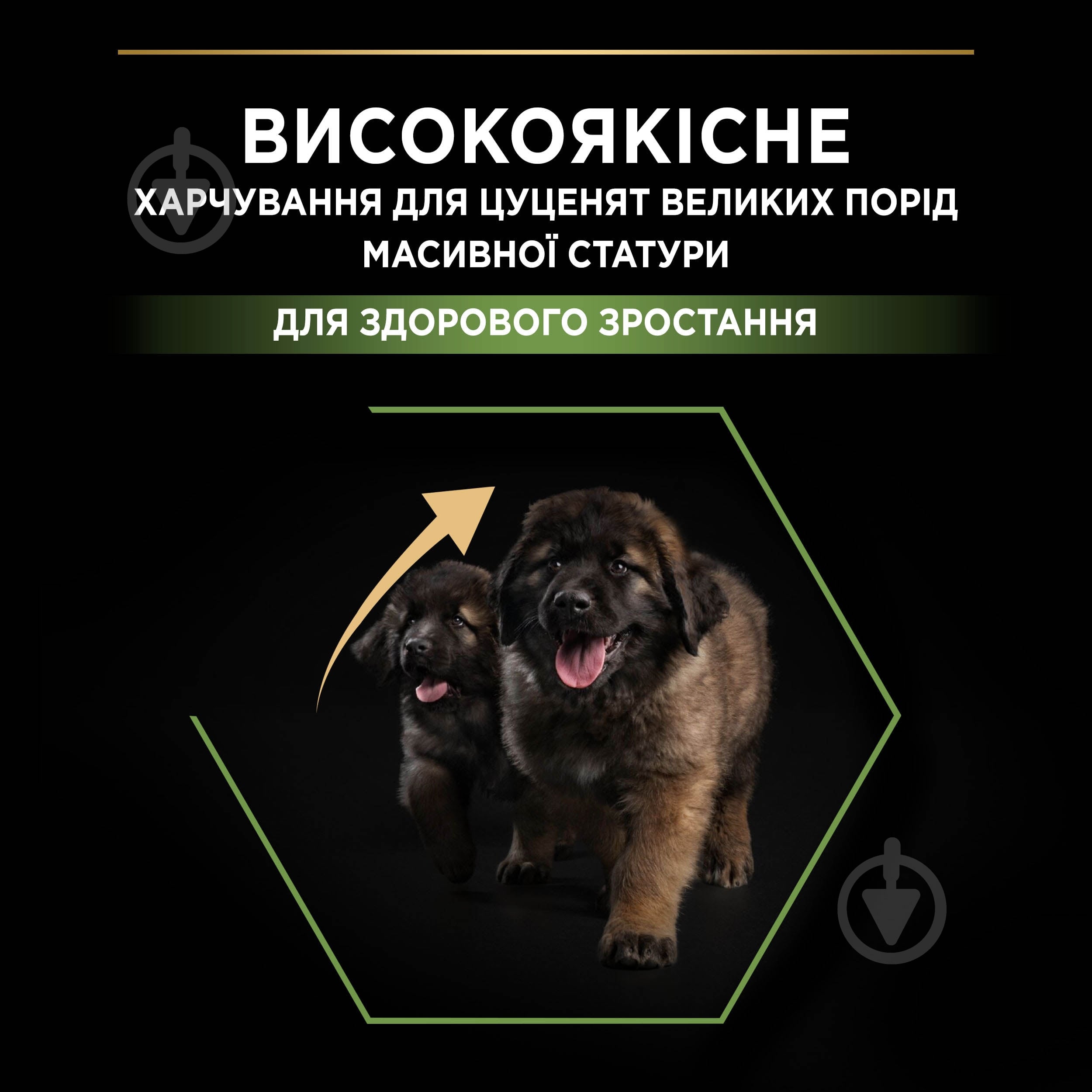 Корм сухой ProPlan by Purina Large Robust Puppy <2 Healthy Start для щенков с курицей 12 кг - фото 5