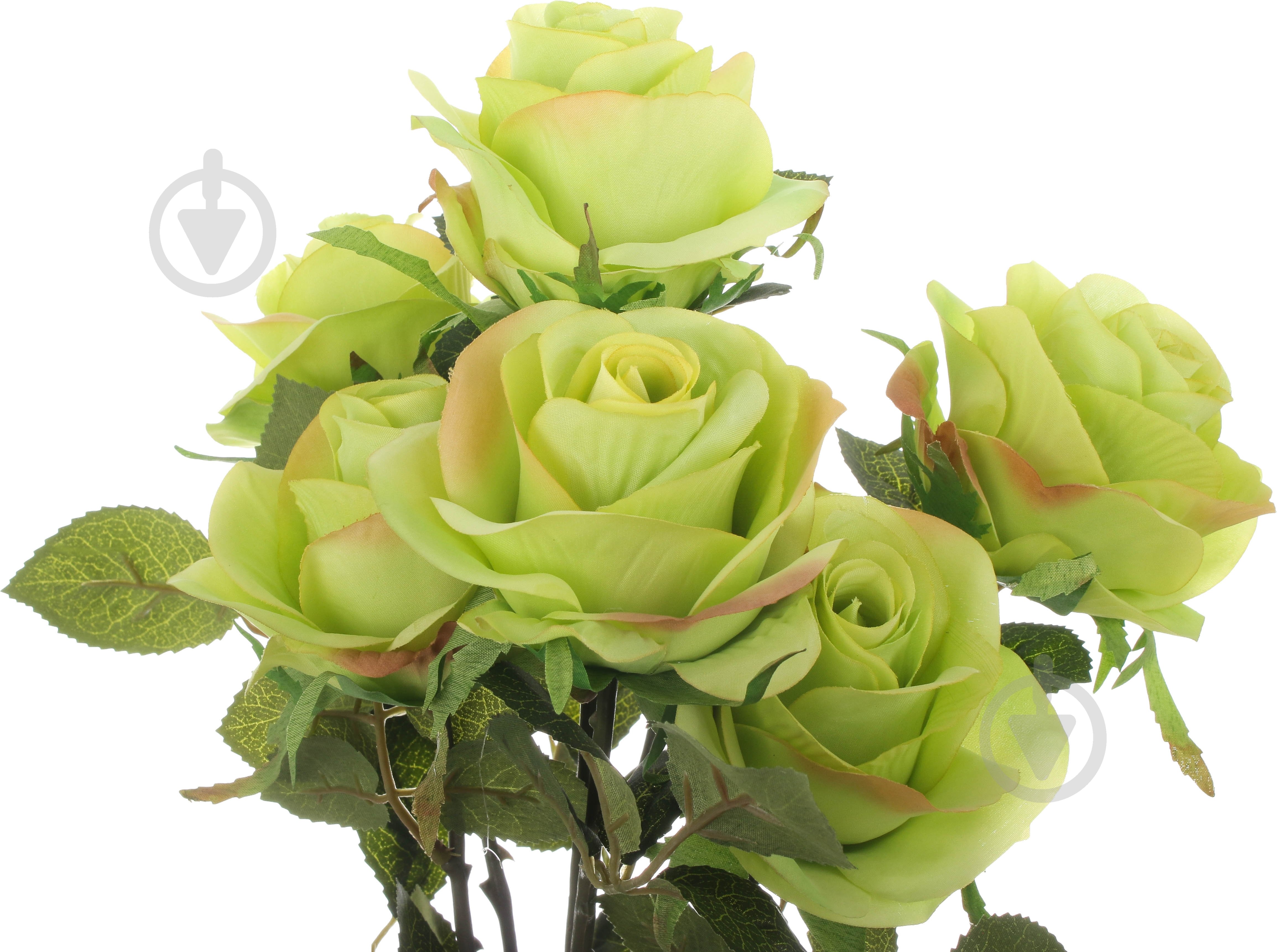 Букет роз 7 цветков зеленый - фото 2 Букет роз 7 цветков зеленый - фото 2