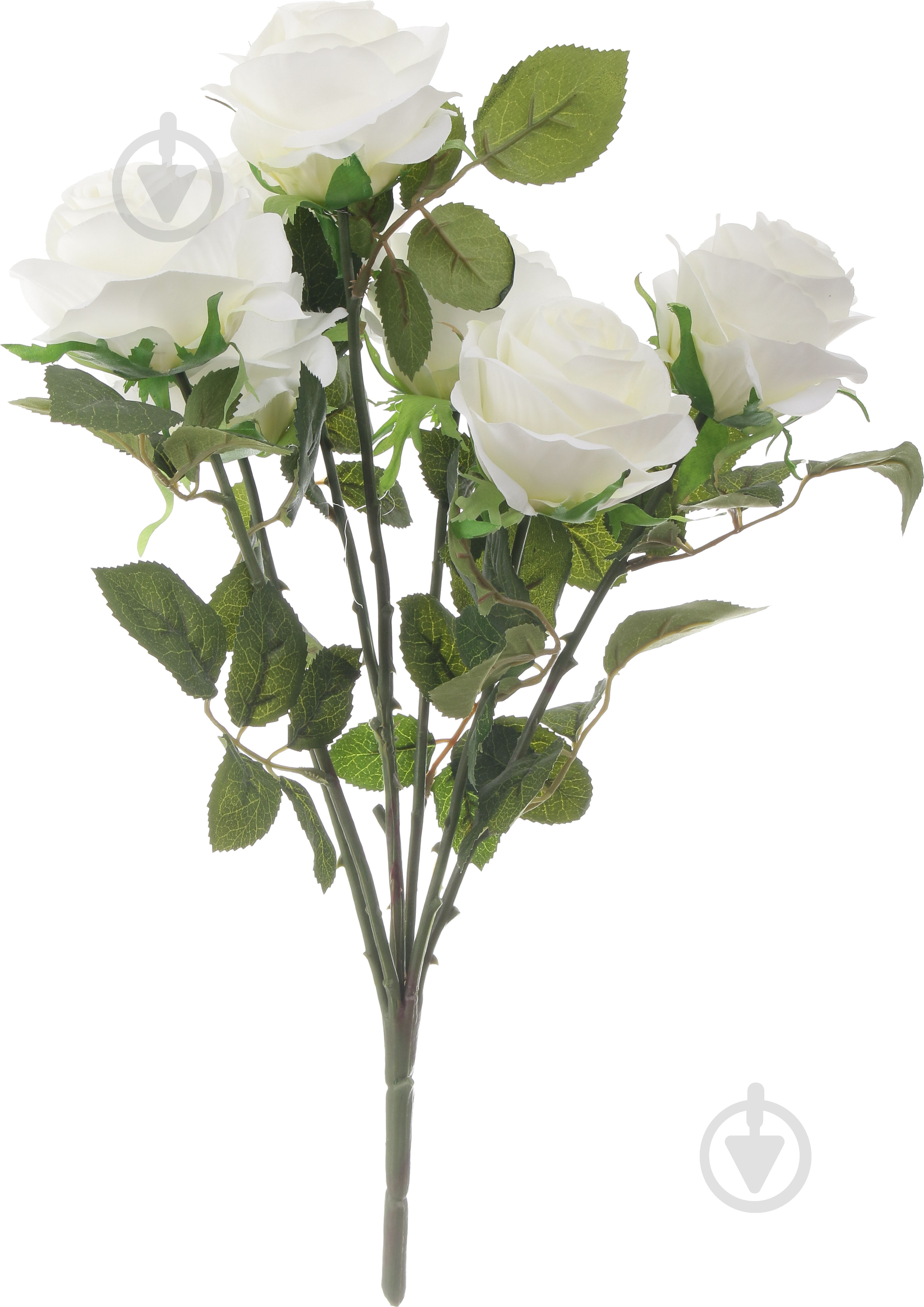 Букет роз 7 цветков белый - фото 1