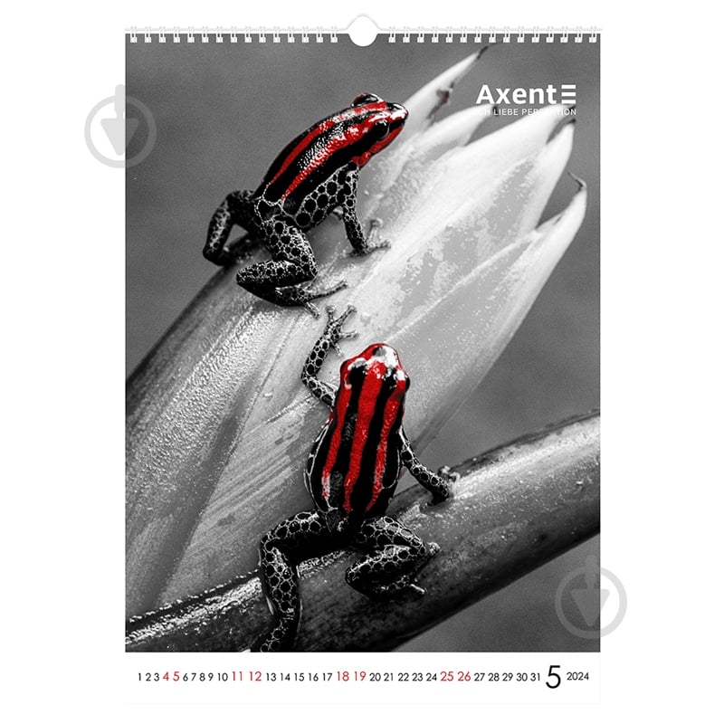 Календарь настенный Axent А3 Red & Black 2024 - фото 7