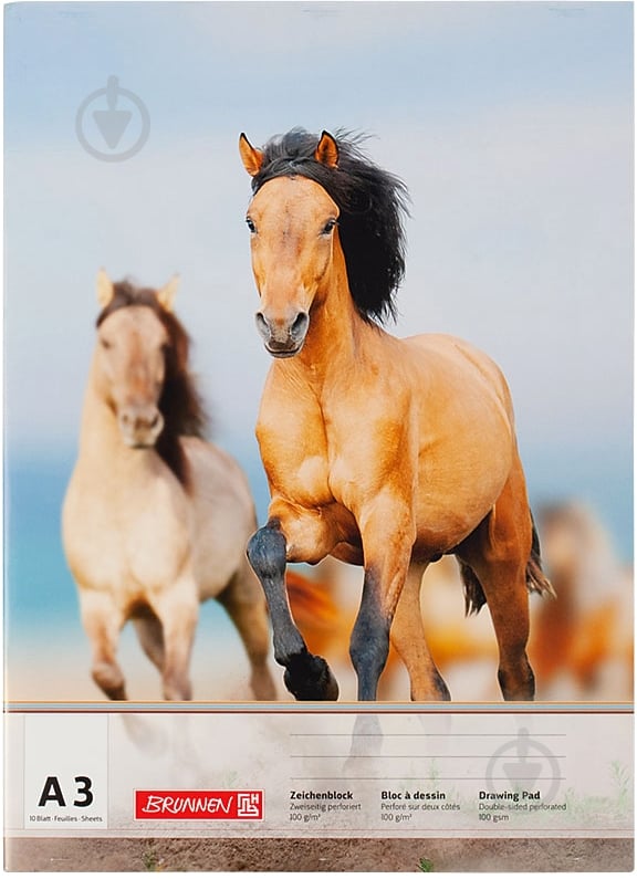 Альбом для рисования А3 10 листов 1047903 в ассортименте Brunnen - фото 3 Альбом для рисования А3 10 листов 1047903 в ассортименте Brunnen - фото 3