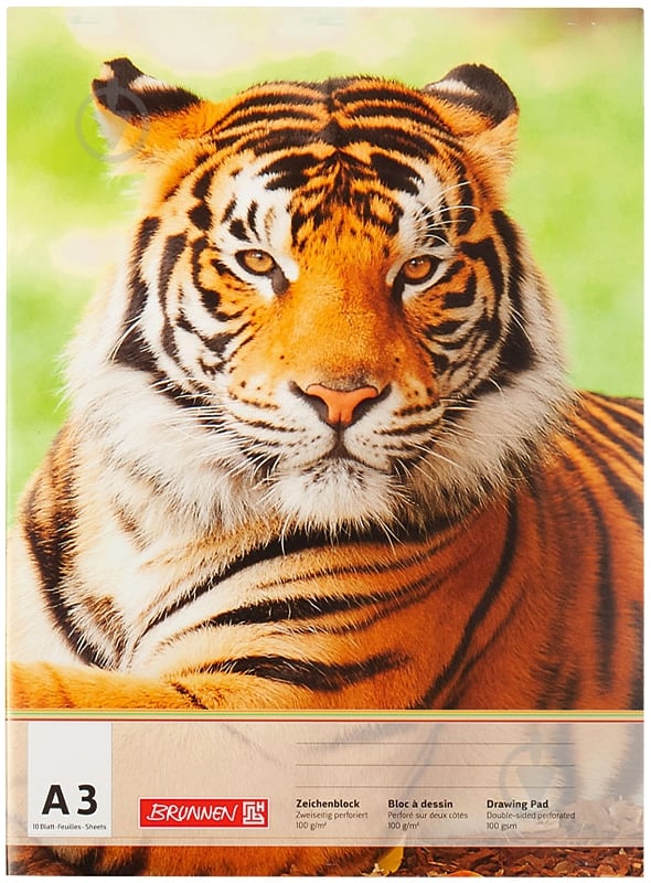Альбом для рисования А3 10 листов 1047903 в ассортименте Brunnen - фото 4 Альбом для рисования А3 10 листов 1047903 в ассортименте Brunnen - фото 4