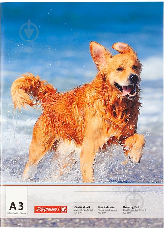 Альбом для рисования А3 10 листов 1047903 в ассортименте Brunnen - фото 5 Альбом для рисования А3 10 листов 1047903 в ассортименте Brunnen - фото 5