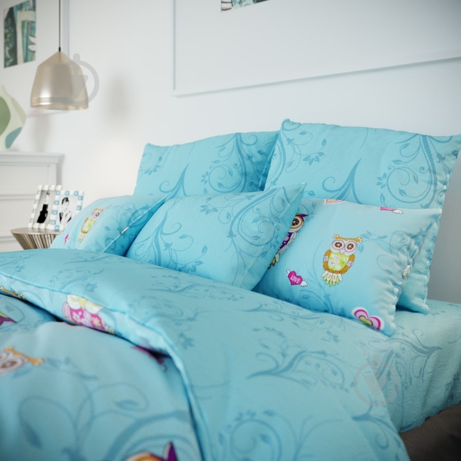 Комплект постельного белья Сова двуспальный с рисунком ТЕП - фото 1