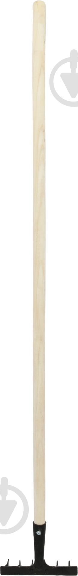 Грабли зубчатые с ручкой 1 - фото 2 Грабли зубчатые с ручкой 1 - фото 2