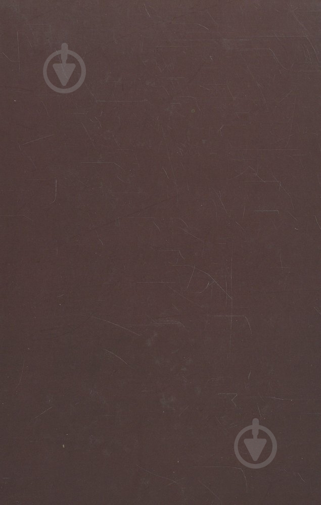 Книга Роман Иваничук «Світ спіймав мене, і я тим тішуся» 978-966-441-358-6 - фото 2