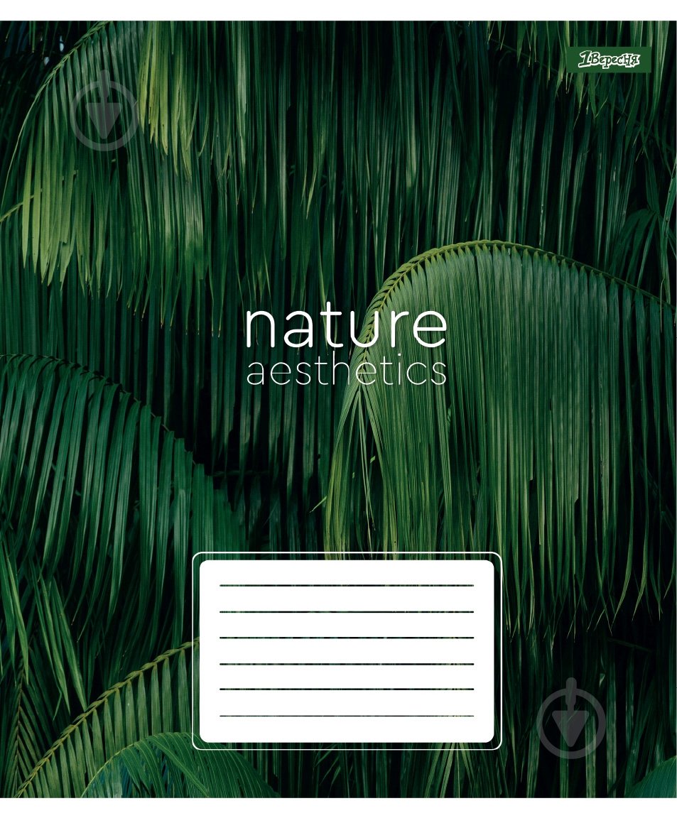 Зошит шкільний Nature aesthetics А5 24 аркуші в клітинку 1 вересня - фото 2