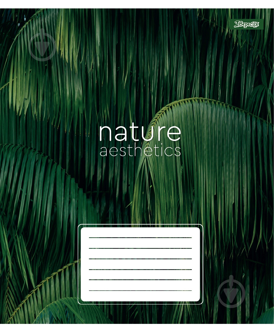 Зошит шкільний Nature aesthetics 36 аркушів у клітинку 1 вересня - фото 2