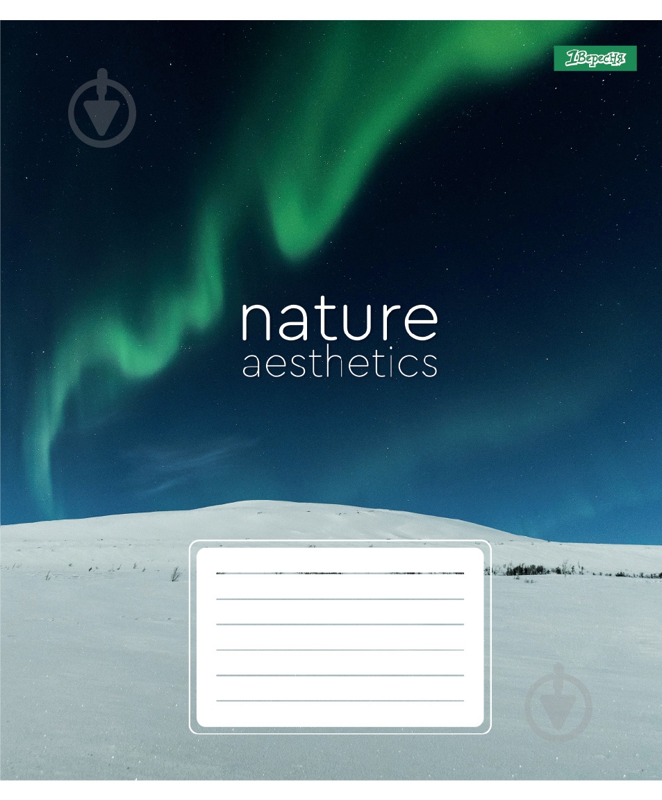 Зошит шкільний Nature aesthetics 36 аркушів у клітинку 1 вересня - фото 3