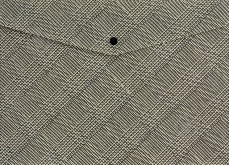 Папка на кнопке А4+ Tartan Olive Axent - фото 1