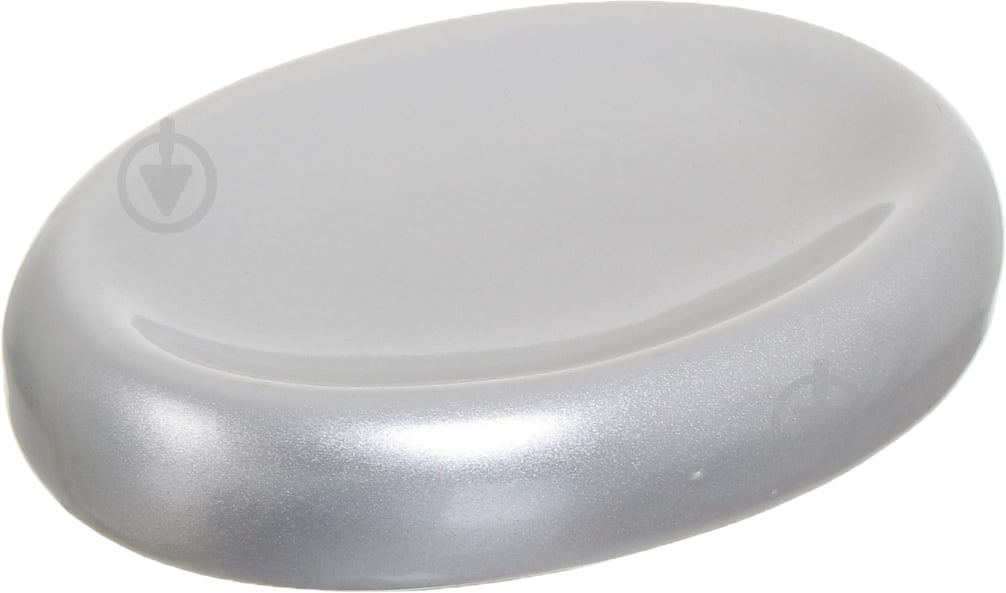 Мыльница Luna CE0463J1-SD-matsteel - фото 1 Мыльница Luna CE0463J1-SD-matsteel - фото 1