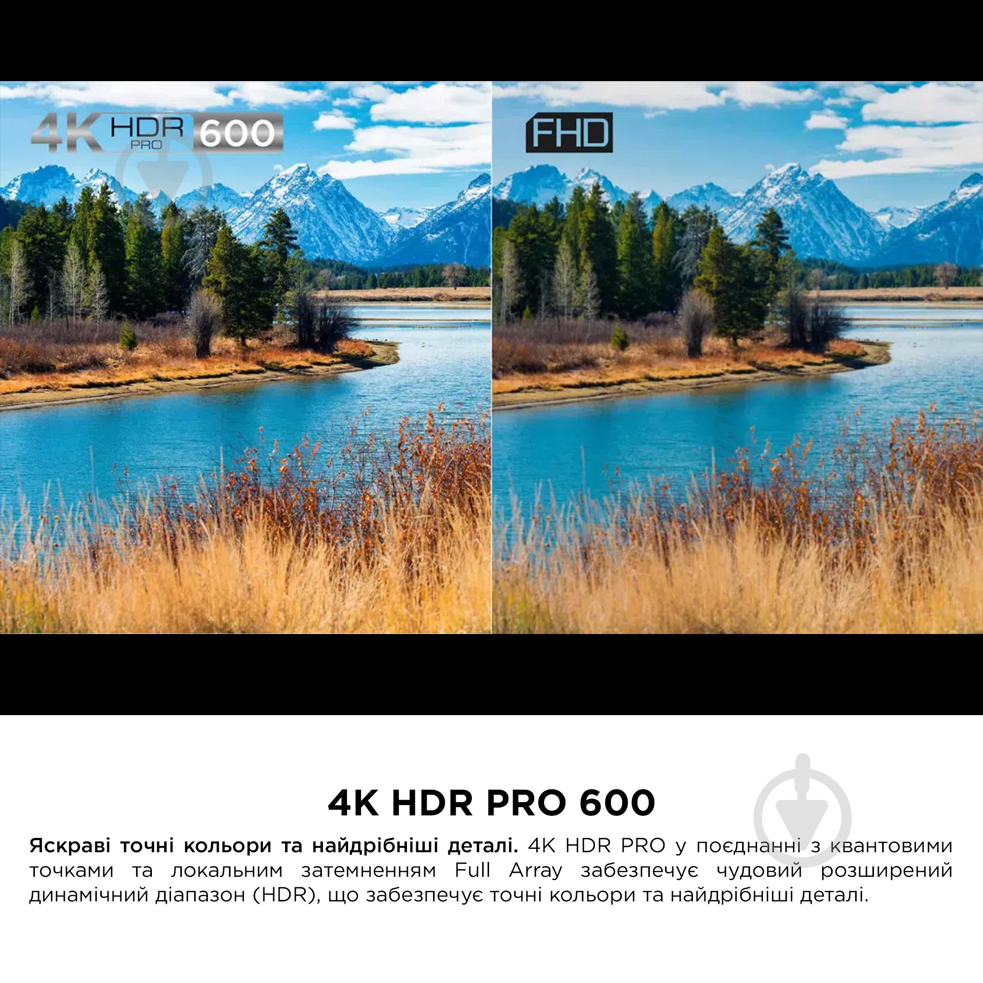 Телевізор TCL 55C655 PRO - фото 9