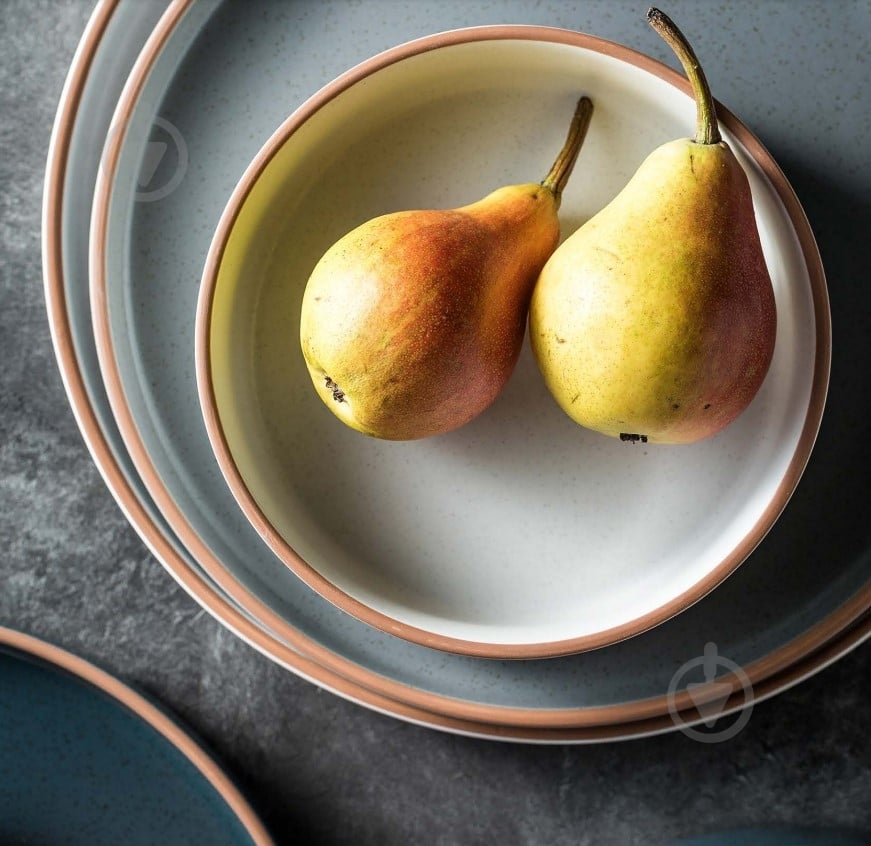 Тарелка обеденная Fiora Lagom Grey 20 см - фото 5 Тарелка обеденная Fiora Lagom Grey 20 см - фото 5