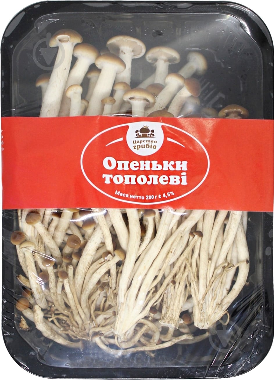 Грибы опёнки 200 г - фото 1