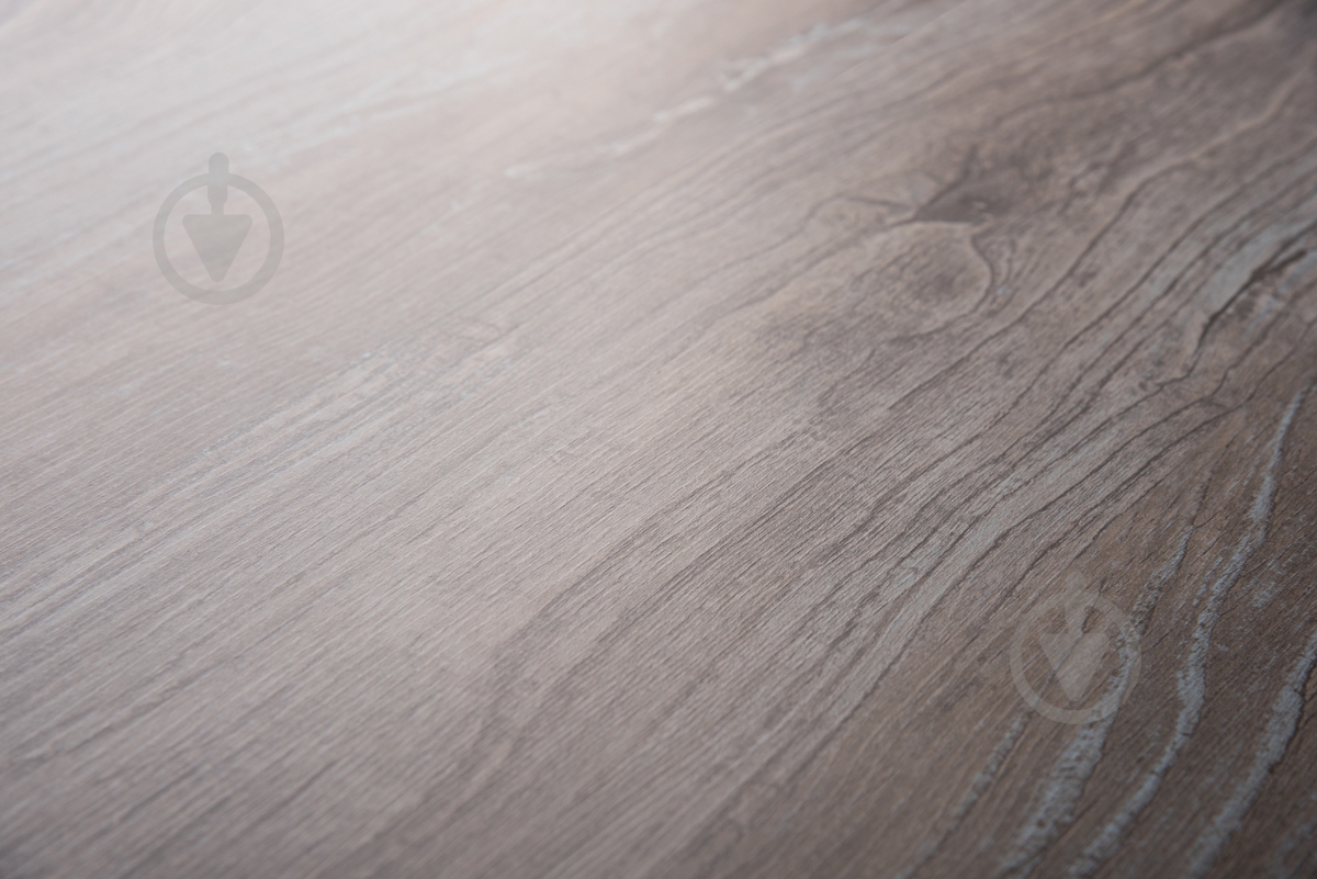 Ламинат Classen Joy вяз прато 32/АС4/8 мм (37314) - фото 4