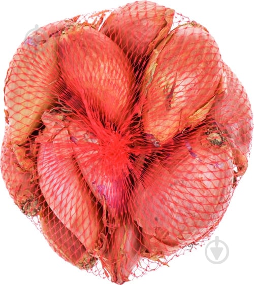 Цибуля шалот 250 г - фото 1