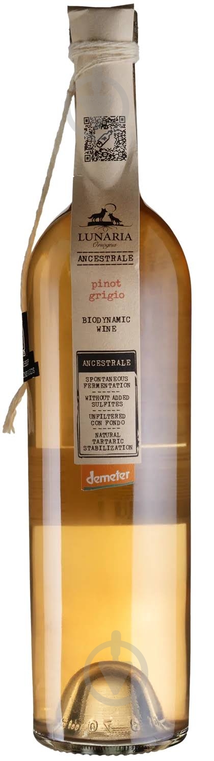 Вино Pinot Grigio Terre D`Abruzzo IGP 0,75 л - фото 1 Вино Pinot Grigio Terre D`Abruzzo IGP 0,75 л - фото 1