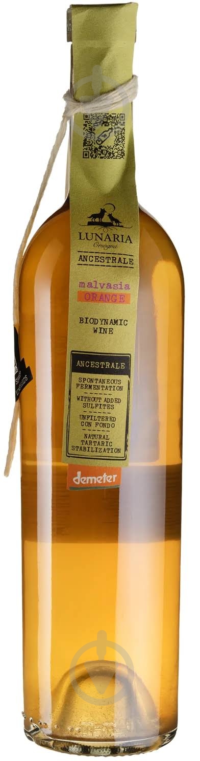 Вино Malvasia Orange Terre D'Abruzzo 0,75 л - фото 1