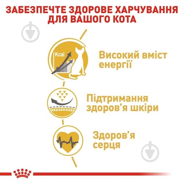 Корм сухий для котів Royal Canin Sphynx Adult (R448614) 400 г - фото 4