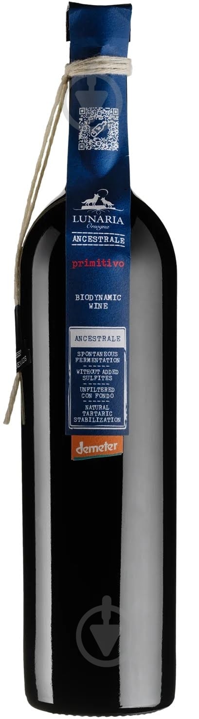 Вино Primitivo Terre D'Abruzzo 0,75 л - фото 1