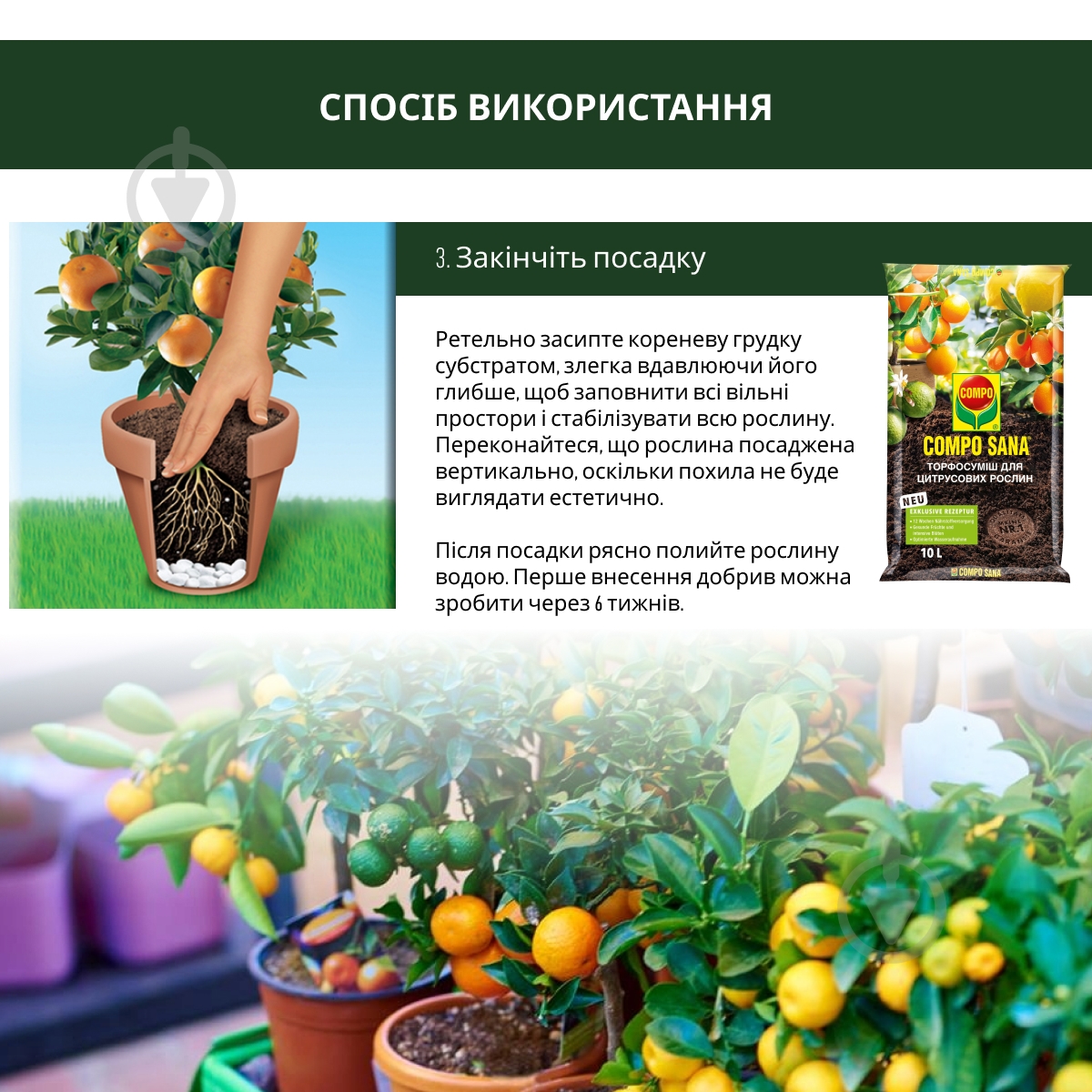 Торфосмесь Compo SANA для цитрусовых растений 10 л - фото 7 Торфосмесь Compo SANA для цитрусовых растений 10 л - фото 7