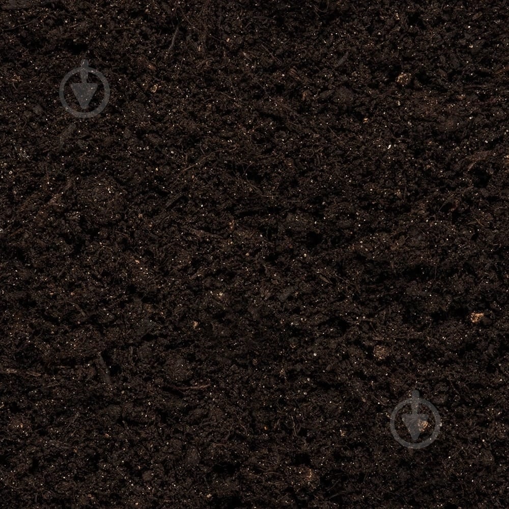 Торфосмесь Compo SANA для цитрусовых растений 10 л - фото 9 Торфосмесь Compo SANA для цитрусовых растений 10 л - фото 9