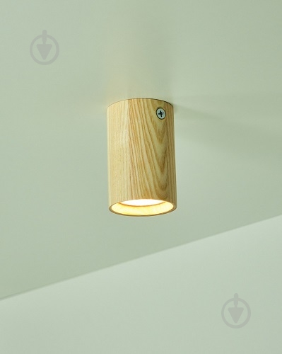 Спот Iterna Leirvik C GU10 1x15Вт GU10 ясень светлый LW088 - фото 5