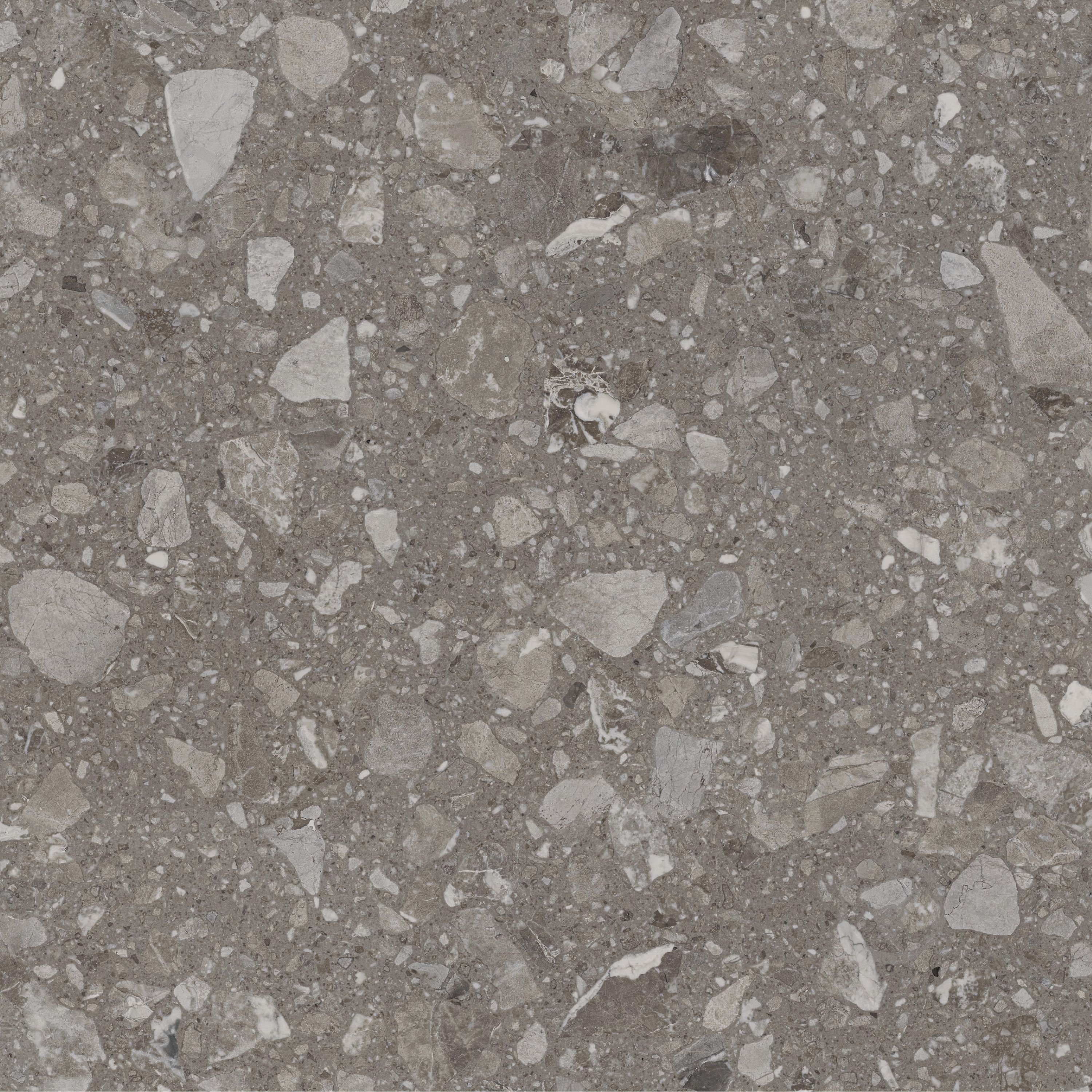Плитка Allore Group Terra Greige F PC R Sugar 60x60 см - фото 1
