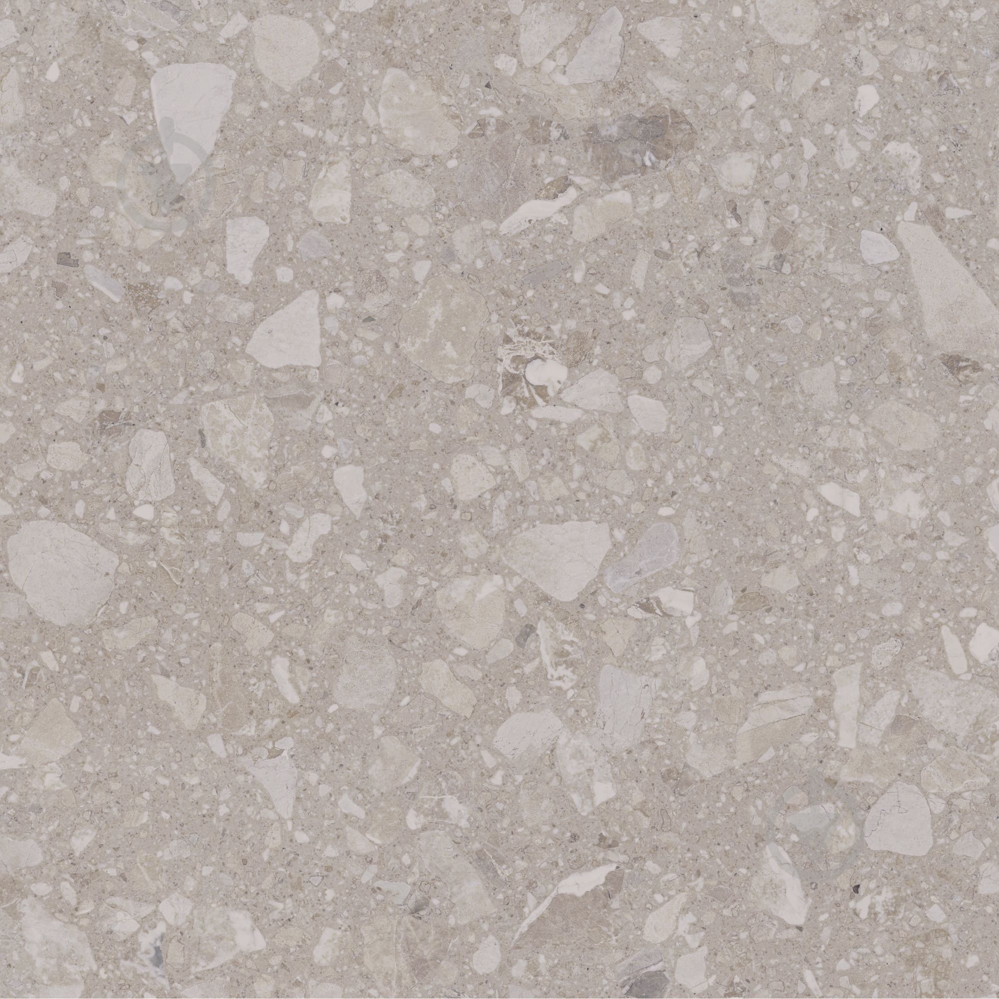 Плитка Allore Group Terra Beige F PC R Sugar 60x60 см - фото 2