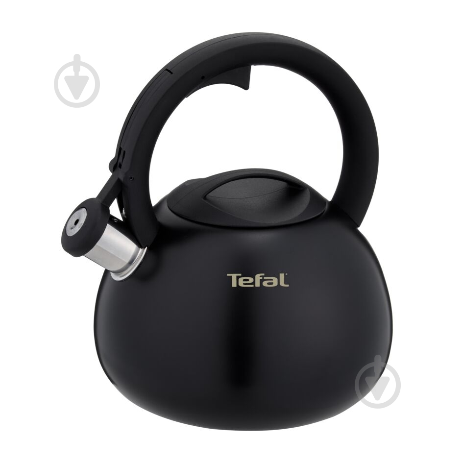 Чайник Tefal Duetto + 2.5 л N4180410 - фото 1 Чайник Tefal Duetto + 2.5 л N4180410 - фото 1