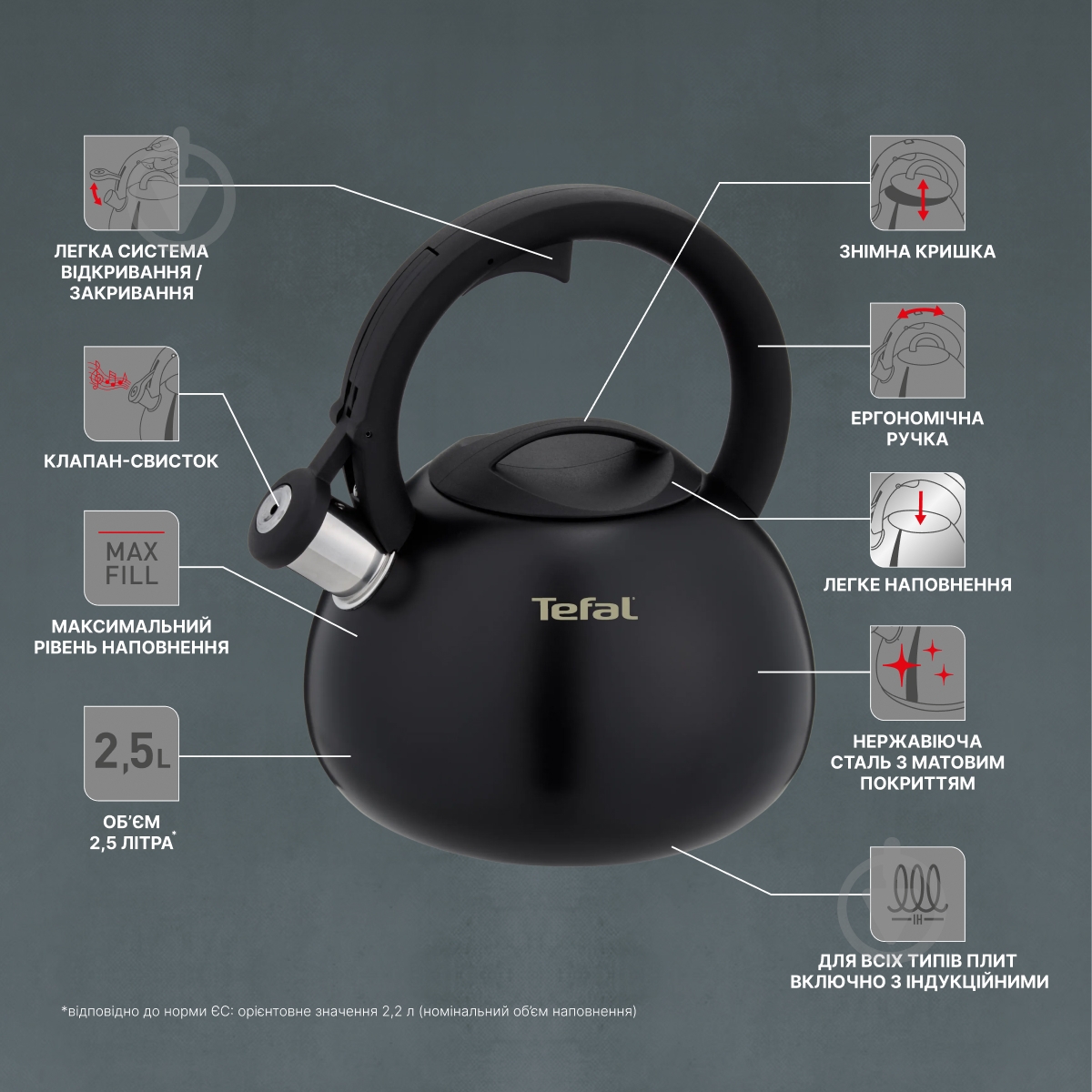 Чайник Tefal Duetto + 2.5 л N4180410 - фото 6 Чайник Tefal Duetto + 2.5 л N4180410 - фото 6