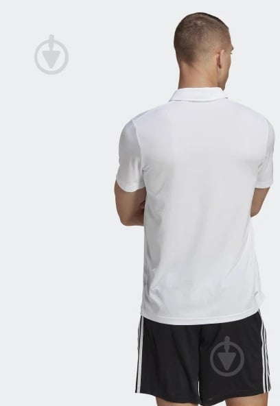 Поло Adidas TR-ES BASE POLO IB8105 р.L белый - фото 3