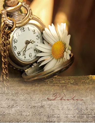 Фотоальбом UFO 10x15x200 PP-46200 Clock - фото 1