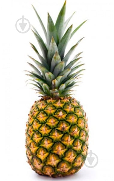 Ананас (10) (тропик) - фото 2