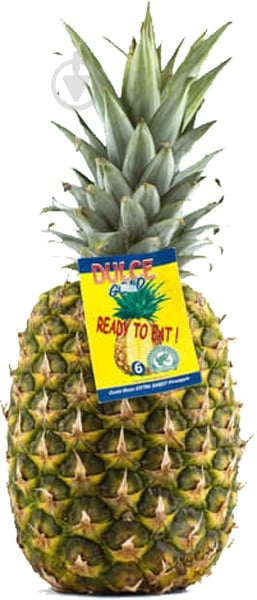 Ананас (6)(тропік) - фото 1 Ананас (6)(тропік) - фото 1