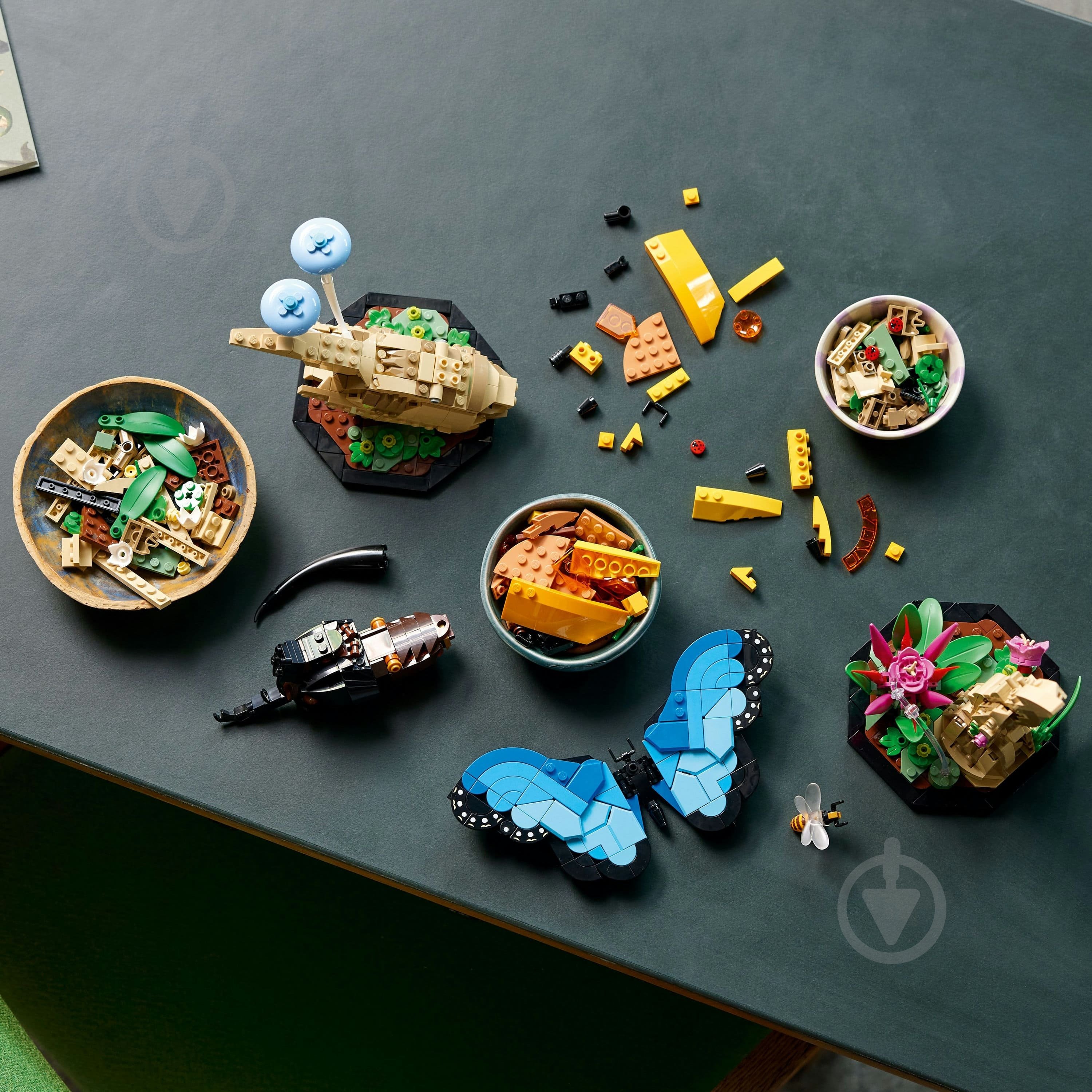 Конструктор LEGO Ideas Колекція комах 21342 - фото 5 Конструктор LEGO Ideas Колекція комах 21342 - фото 5