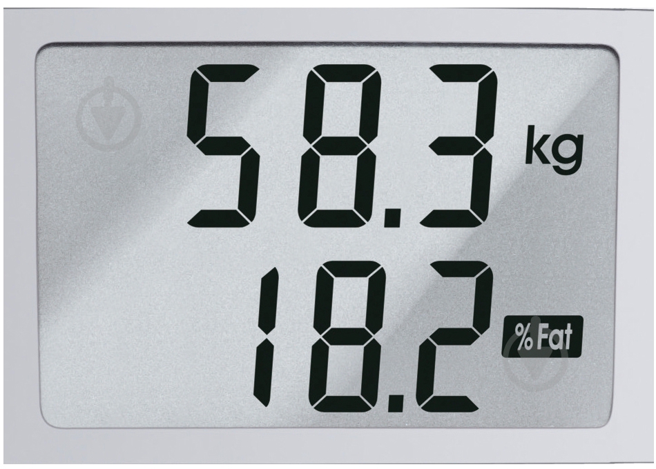 Весы напольные Bosch PPW3120 - фото 4